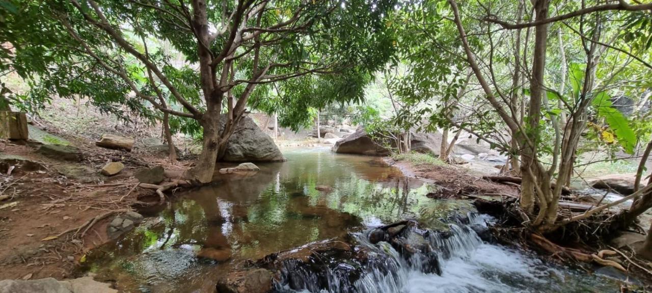 فندق Residencia Pedra Do Elefante غواراباري المظهر الخارجي الصورة
